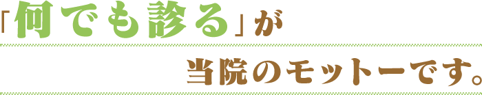 「何でも診る」が当院のモットーです。